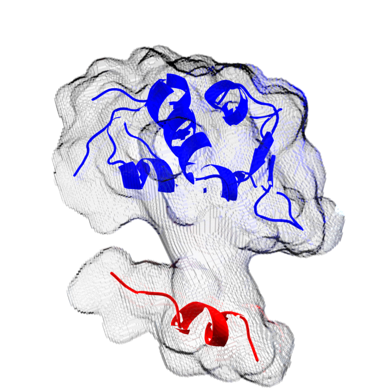Binary Level Set Method